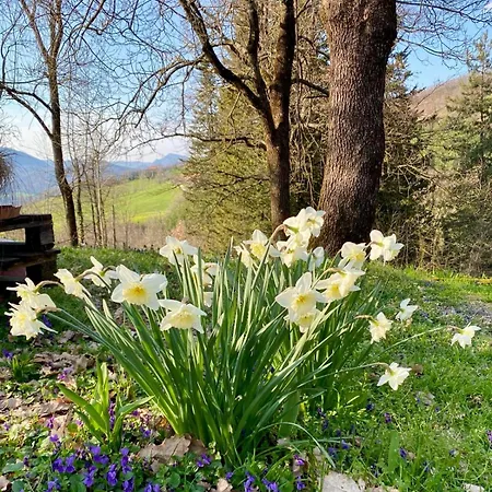 Casa Baki, Un Rifugio Nella Natura Appartement