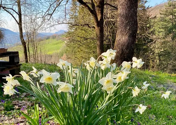 Casa Baki, Un Rifugio Nella Natura Apartmán